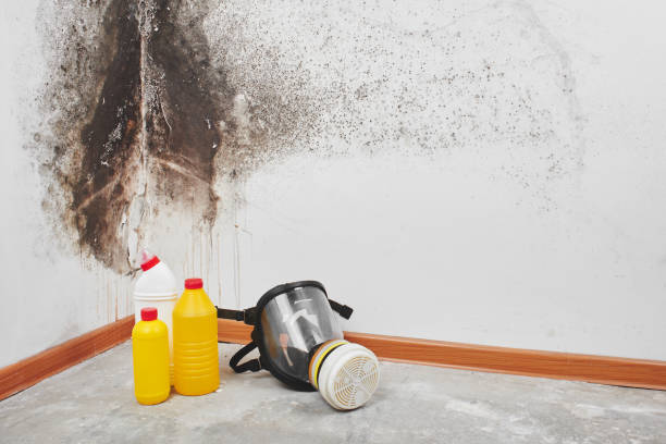 Best Water Damage Restoration  in Chantilly, VA