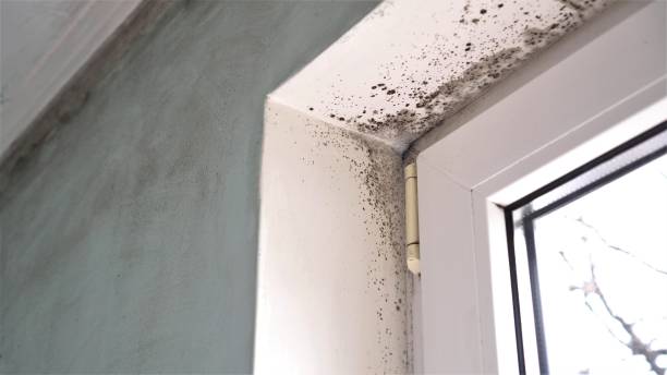 Water Damage Restoration in Chantilly, VA
