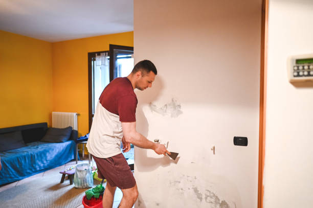 Best Mold Testing  in Chantilly, VA